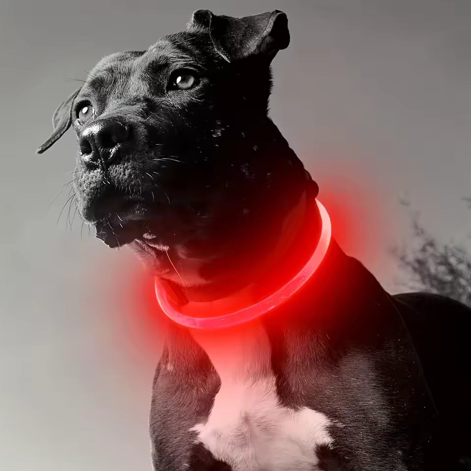 et Dog LED Light Collar Luminous Anti-Lost Dog Collar USB Rechargeable Dog Necklace Collar