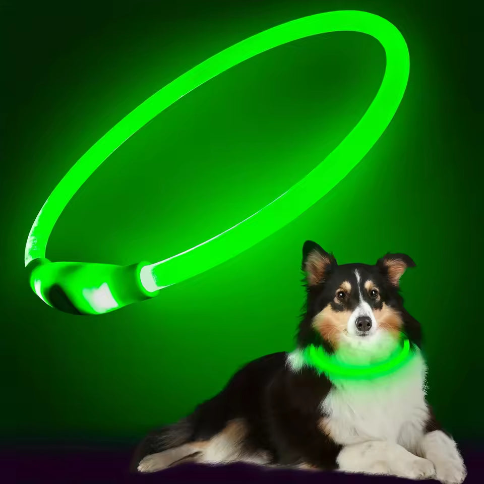et Dog LED Light Collar Luminous Anti-Lost Dog Collar USB Rechargeable Dog Necklace Collar