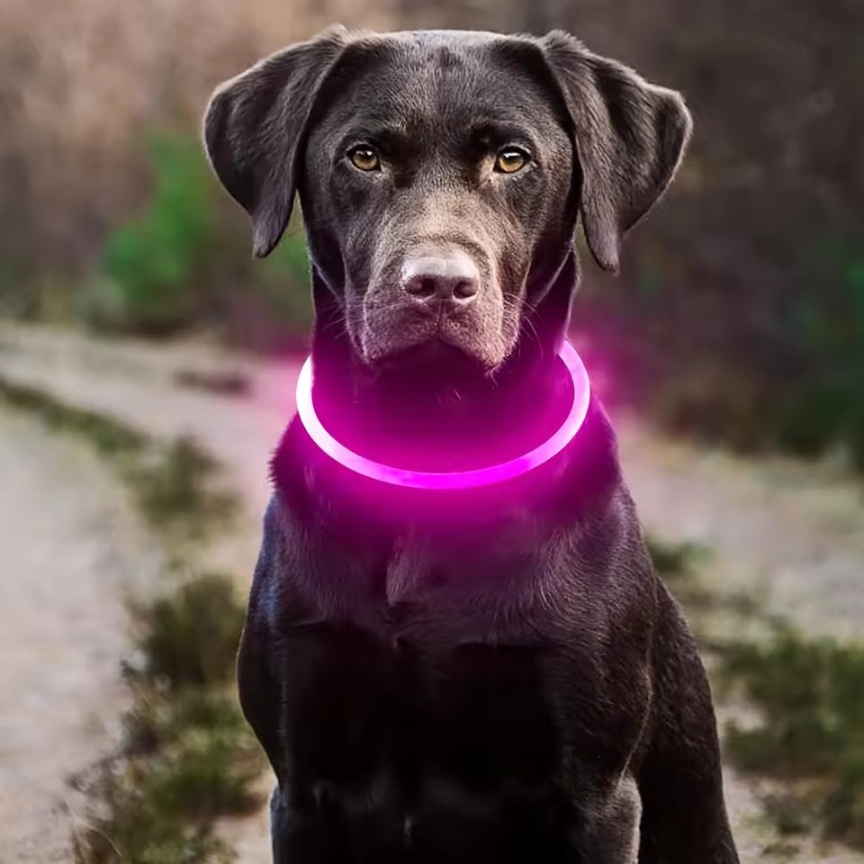 et Dog LED Light Collar Luminous Anti-Lost Dog Collar USB Rechargeable Dog Necklace Collar