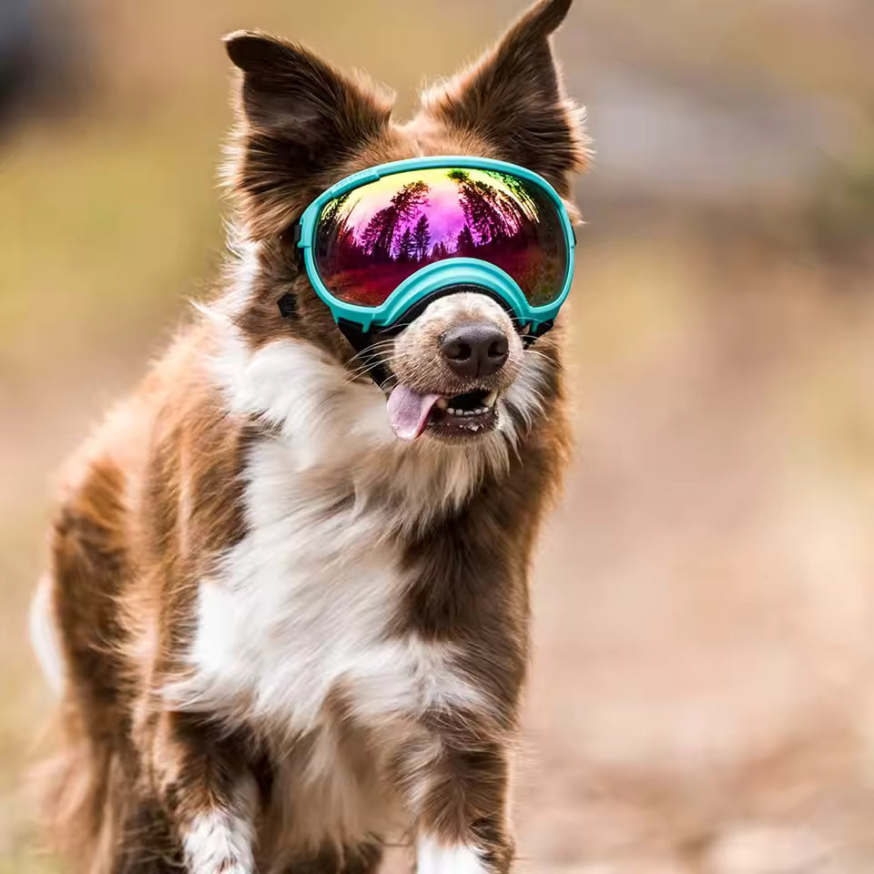 Dog Goggles Anti UV Strong Impact Resistance Adjustable Elastic Puppy Large Breed Dog Goggles Breathable Pet Sunglasses
