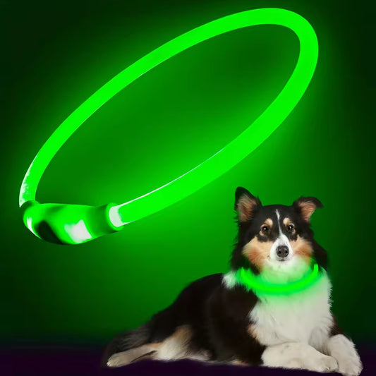 et Dog LED Light Collar Luminous Anti-Lost Dog Collar USB Rechargeable Dog Necklace Collar