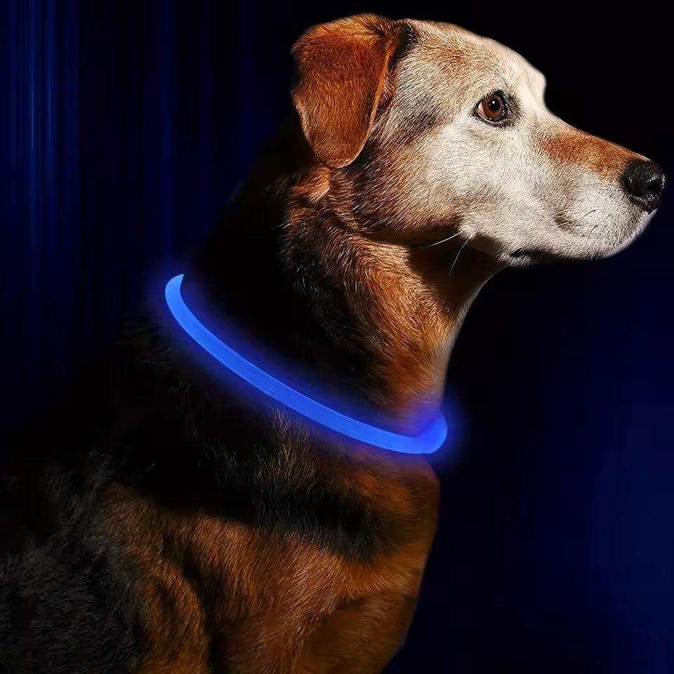 et Dog LED Light Collar Luminous Anti-Lost Dog Collar USB Rechargeable Dog Necklace Collar